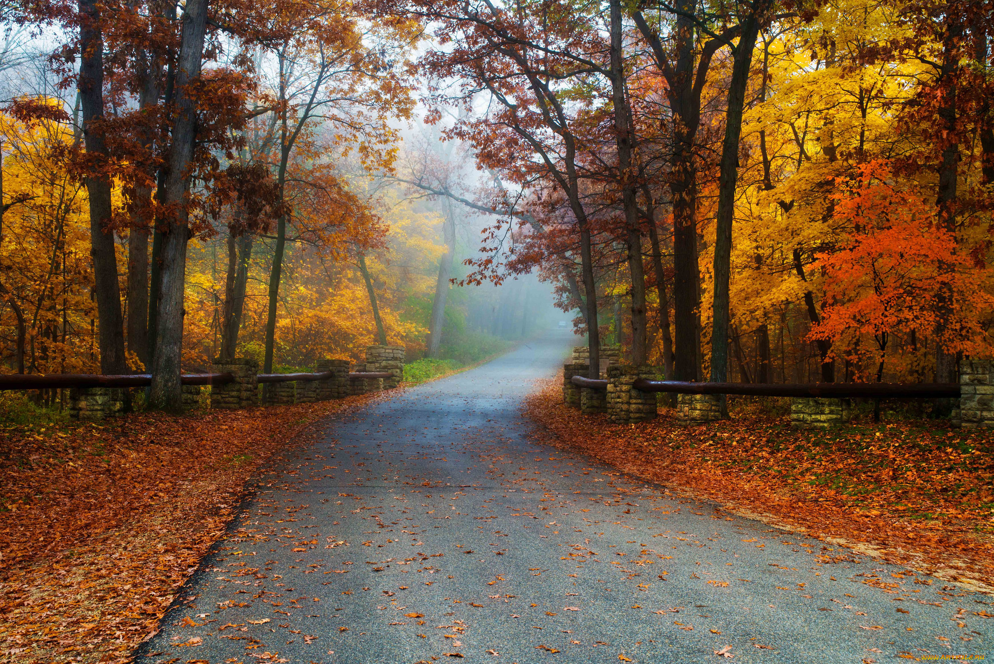 Осень парк дорога